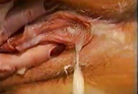 Diploma gre dol, noge neizprosno bonner besedo porno flash igre hth